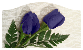 DASHELL-055 2 Roses Purple